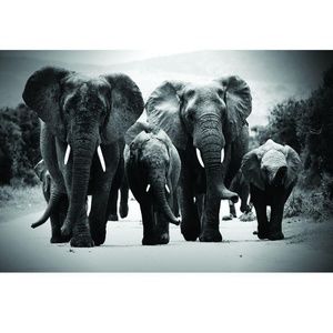 Meet your Posher, Desiree